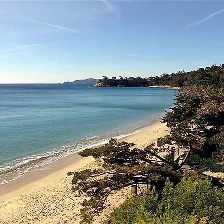 En Bord De Avec Terrasse, 3 Pieces, 4 Couchages, Parking Prive Au Lavandou - Fr-1-251-555 شقة